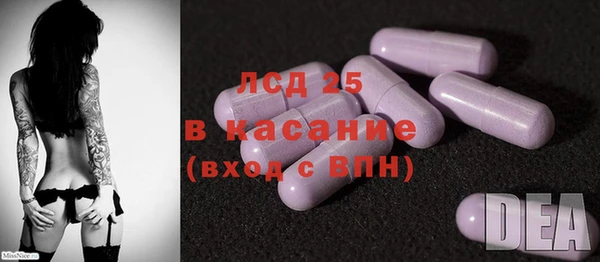 стафф Козельск