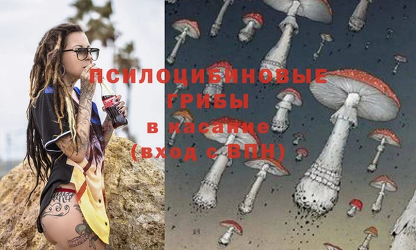 Альфа ПВП Кодинск