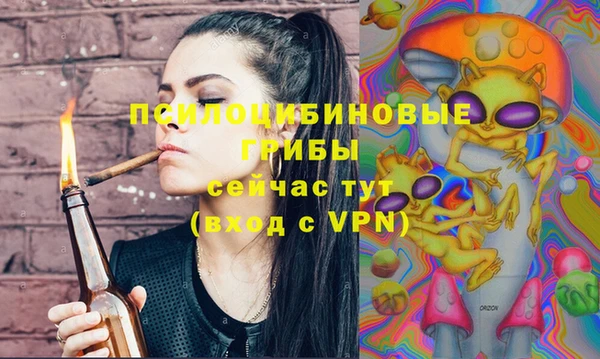 стафф Козельск