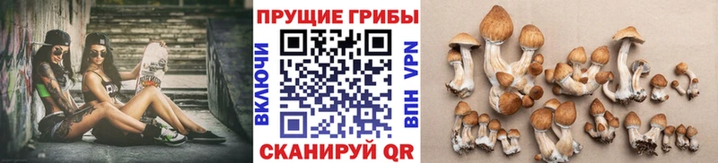 kraken tor  Мелеуз  Галлюциногенные грибы Psilocybe 