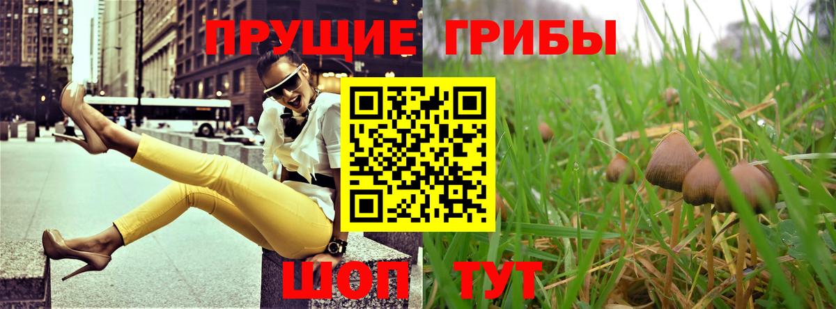 Галлюциногенные грибы Psilocybine cubensis Мелеуз
